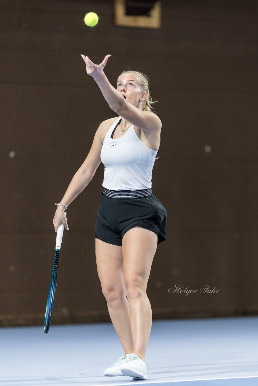 Bild 317 - TNB Landesmeisterschaft